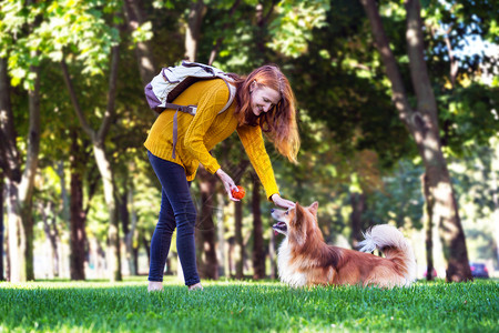训练女童和狗群在公园中行走图片