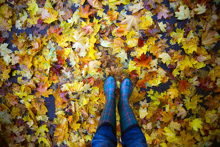 穿着雨靴在秋叶中图片