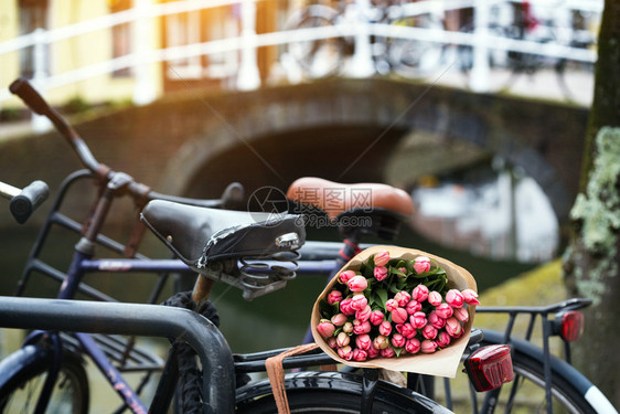 美丽的粉红色郁金香在阿姆斯特丹的一辆旧自行车上图片