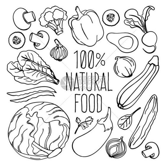 蔬菜单色食物营养矢量插图集图片