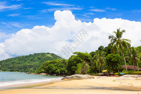 在阳光明媚的日天化在草坪上空的热带布拉齐利亚海滩图片