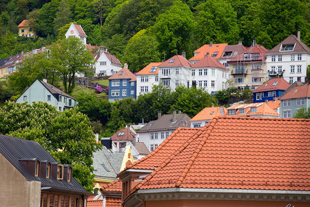 绿色山丘上的贝尔根人房屋顶图片