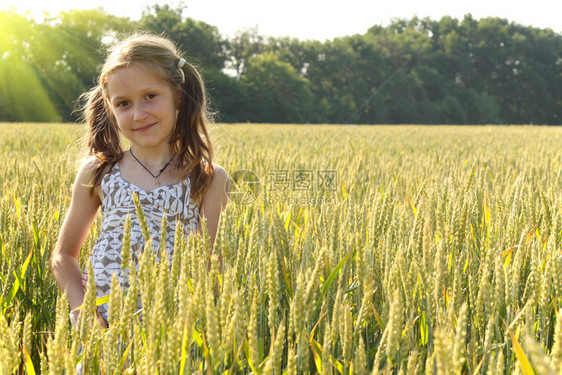 站在小麦田中间的小女孩图片