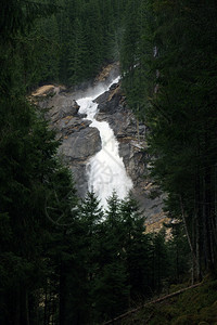 巨大的瀑布倒塌周围是针线林树图片