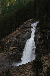 巨大的瀑布倒塌周围是针线林树图片