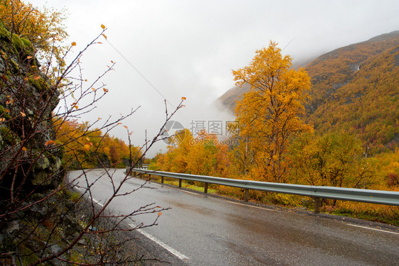 秋天路诺维吉亚山的秋天路在雾的气图片