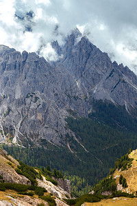 美丽的山地风景环绕熔岩层花朵意大利图片