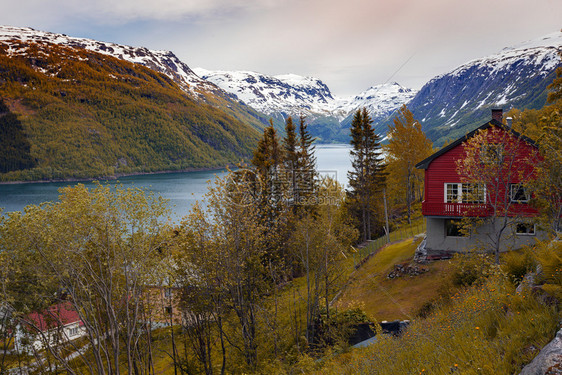 挪威木制房屋在湖边海岸上图片