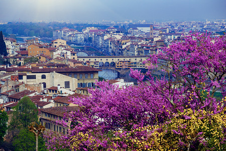 从观点上看tuscany省意大利图片
