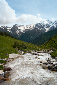 远处有雪峰的青绿河谷和山图片