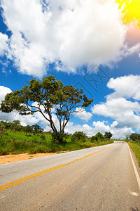 传统热带道路布拉西里齐尔图片
