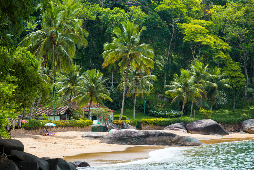 充满房屋和树木的巴西热带空沙滩图片