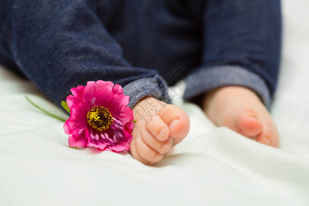 新生婴儿和鲜花图片