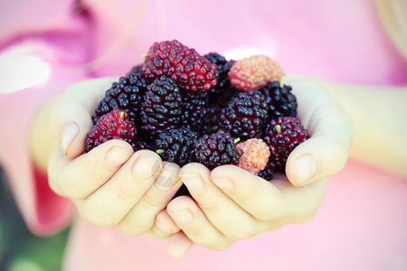 一个女孩手里有成熟的木莓图片