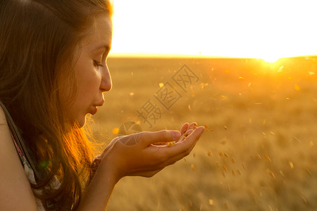 日落时十几岁的少女吹在棕榈上满小麦颗粒站在田日落时站小麦田边图片