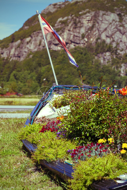 花园装饰船上的花朵诺韦图片