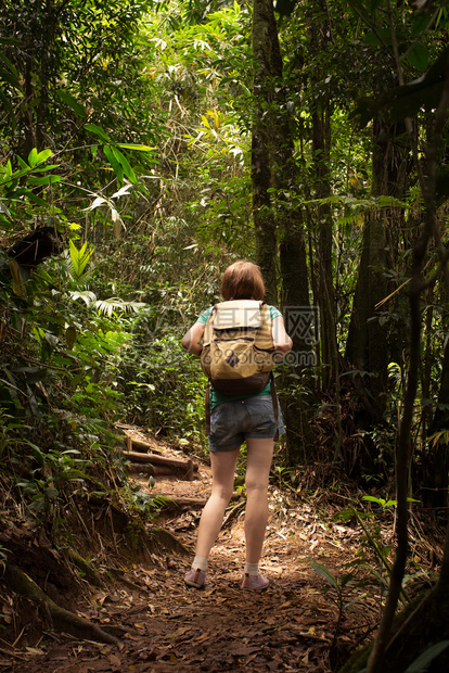 女孩徒步旅行者背包在丛林森图片