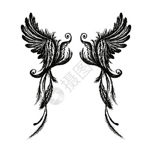 哥特式的设计手画翅膀白色背景矢量插图与白色背景隔离插画