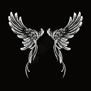 白色t恤设计手画翅膀在黑暗背景上隔离矢量图示手画翅膀设计图片