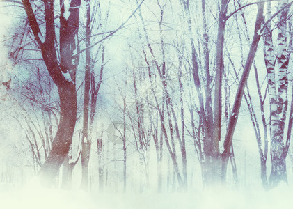在雪瀑下公园的白冬树进行光控图片