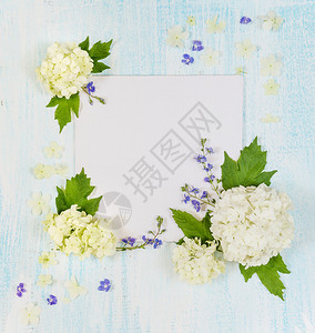 婚礼或家庭相册的剪贴页带鲜白蓝花绿叶和瓣的架子浅木背景的鲜花瓣顶部视图平板顶部视图图片