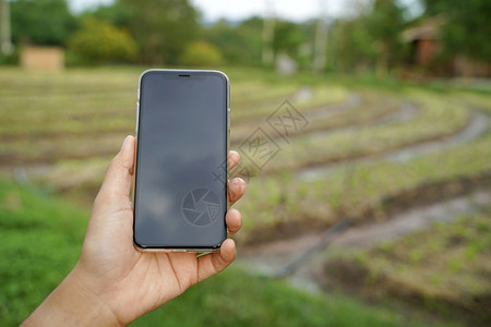 利用现代技术移动农业蔬菜有机耕作图片