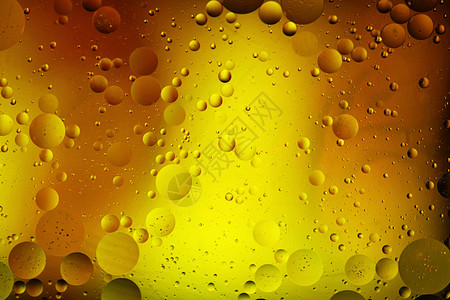 墨尔本彩虹小五背景