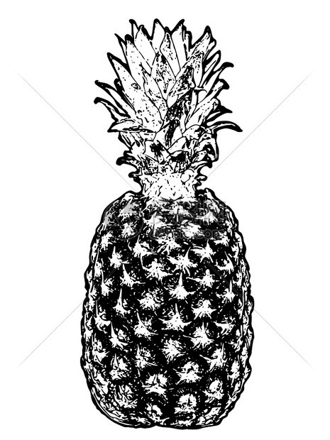 卡通黑白菠萝矢量元素图片