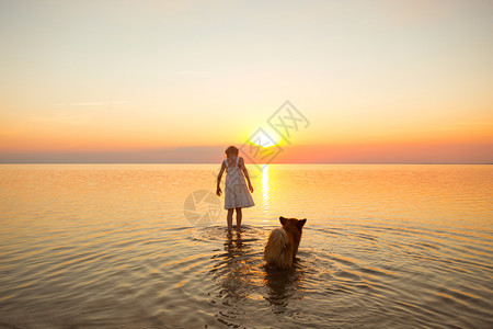 小女孩在日落时正带着一条狗在海边行走图片