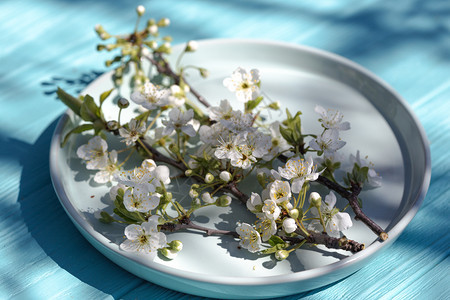 素食和菜单樱花枝在盘子上健康饮食图片