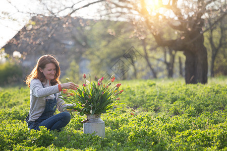 女孩在日落的背景下在花园里收集一束郁金香春天和园艺图片