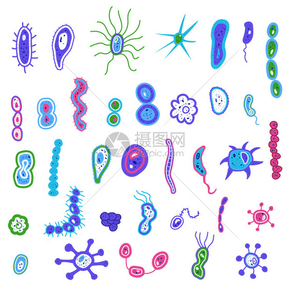 细菌矢量图图片