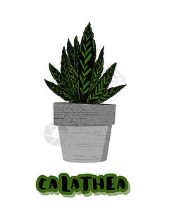 国产hpv加拉西娅水泥花盆上种植家庭贴有标签文字矢量图解插画