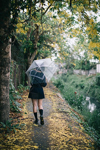 下雨时在自然行走道上带着雨伞行走的亚裔女学生肖像高清图片