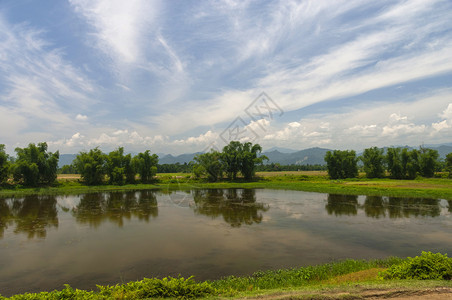 brahmputr河附近的水体和竹林在brahmputr河附近的水体和竹林在bahmputr河附近的水体和竹林在asmdi图片