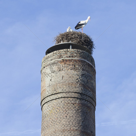 在古旧工业烟囱上用两只白和筑巢与内地的蓝天空相对图片