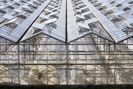 内地玻璃和金属温室的抽象建筑结构图片