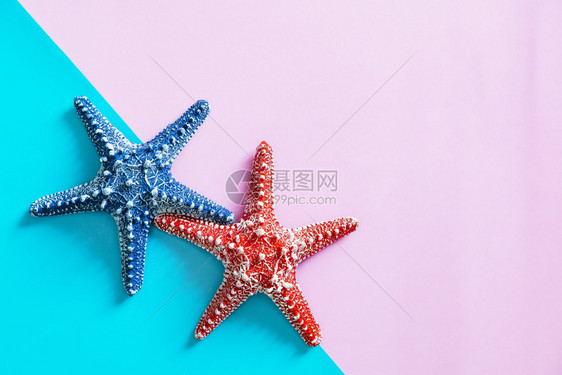 夏季概念海星在彩色背景上无文字空间图片