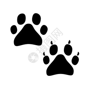 动物形象动物足迹的爪子矢量说明白色背景的矢量说明插画