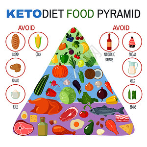生酮饮食插画 生酮饮食卡通 生酮饮食插图 手绘 板绘 摄图网