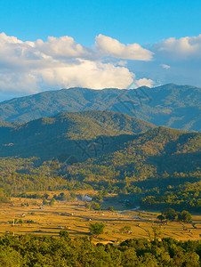 美女山山岳和稻田背景