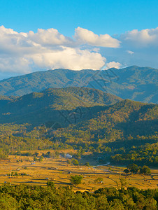 山岳和稻田图片