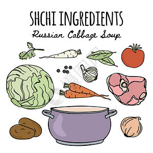 俄罗斯烹饪汤食谱矢量插图集图片