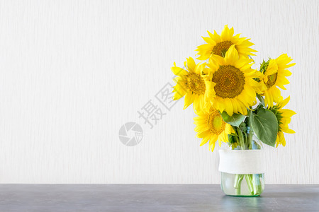 向日葵花束背景 向日葵花束摄影图片 向日葵花束壁纸 摄图网 向日葵花束背景 向日葵花束摄影图片 向日葵花束壁纸 摄图网