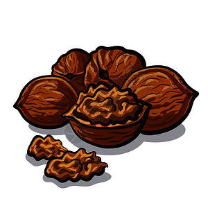 果壳插画_果壳卡通_果壳插图_手绘_板绘_摄图网