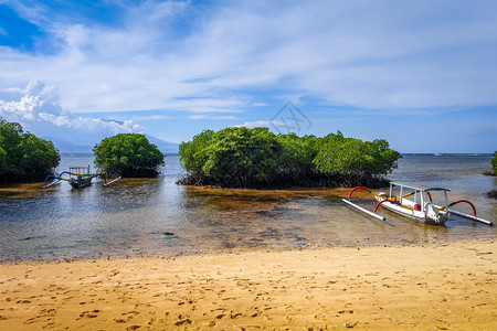 红树海滩和传统船只位于印度巴利恩蒙邦萨莱因多尼西亚红树海滩恩巴利因多尼西亚图片