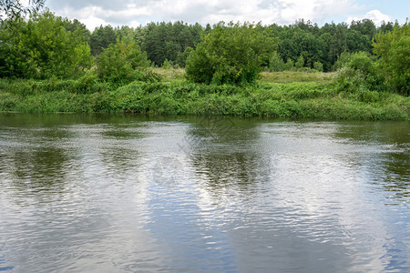 靠近河流景观的农村绿色夏季森林图片