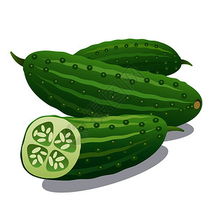 绿色的黄瓜插画_ 绿色的黄瓜卡通_ 绿色的黄瓜插图_手绘_板绘_摄图网