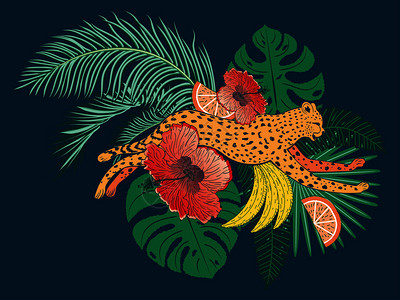 热带水果猎豹和叶子图片