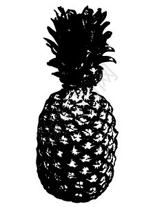 黑白菠萝矢量元素背景图片